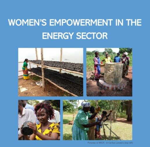 Women’s In Energy - IRIS Sustainable Consultancy