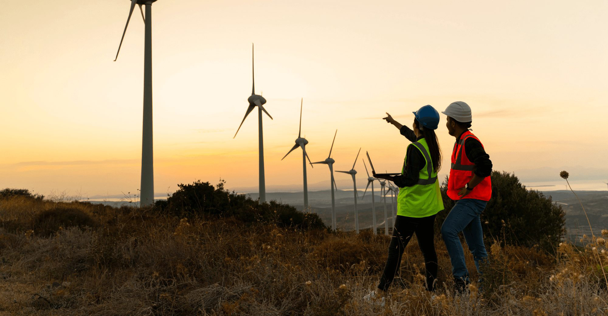 Iris Sustainable Consultancy Think Sustainable Go Green