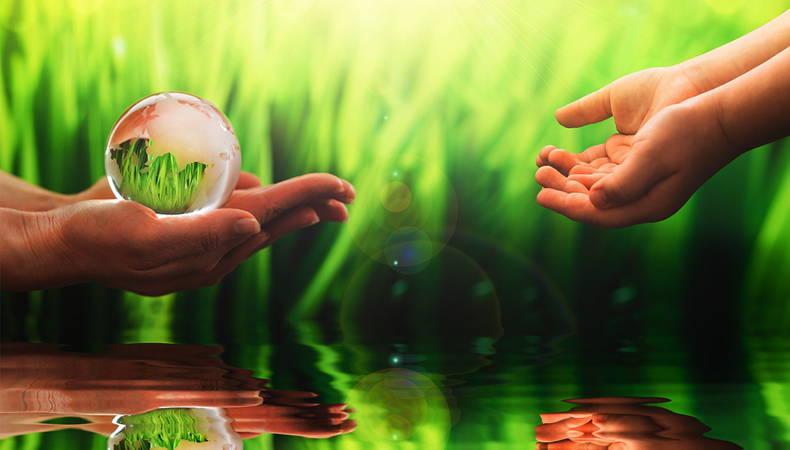 Iris Sustainable Consultancy Think Sustainable Go Green